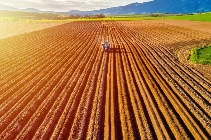 <strong>Fertilizer prices continued to rise in Q2, driven by supply shortages as well as fallout from US tariffs.</strong>
According to data from the World Bank, the average quarterly phosphate price rose to US$673.20 per metric ton (MT) during the April to June period, up from US$600.50 in Q1 and US$536.70 recorded in the second quarter of 2024. 
On a monthly basis, the price averaged US$715.40 in June, up from US$582.70 in January.
Potash prices have also gained since the start of the year, with the quarterly average rising to US$359.20 per MT from US$319.20 in Q1. The monthly price posted consistent increases, rising to US$363.13 in June from US$302 in January.  
                            What factors impacted phosphate in Q2?
Phosphate prices have risen over the last several years as China, the world’s largest supplier, continues to impose export restrictions on the amount of fertilizers allowed to leave the country. 
Between 2021 and 2024, China’s phosphate exports experienced significant declines, falling from 9 million MT to 6.6 million MT. Then, in December 2024, China halted new export applications for phosphate due to the rising cost of sulfur, which is necessary for separating phosphates from rock.
In an April 22 article, Josh Linville, vice president of fertilizer at StoneX, noted that during the first three months of 2022, China exported 950,000 MT of phosphate, but only 13,000 MT during the same period in 2025.
At the time, Linville suggested that even if there were to be a shift in Chinese policy during the second quarter, it might not lead to an increase in exports due to a lack of inventory in the country. 
<blockquote>“It appears that while they have increased their urea export quota, the same is not expected for phosphate. We continue to believe that domestic demand has been raised due to a combination of agriculture and industrial demand spikes.’</blockquote>
India is among the main drivers of agricultural demand, and the country has been working to rebuild its stockpiles of fertilizer since they reached a low of 1.1 million MT in late 2024. With Chinese supply missing from the equation, importers have had to pay premiums to other major producers in Morocco and Saudi Arabia. 
The result has led to a 44 percent increase in Indian imports, which are expected to reach 1.09 million MT for July and 2.16 million MT for the April to July period, while also pushing prices for phosphate upward.
Adding to market stressors since the start of the year are tariffs on products entering the US. As Linville pointed out, phosphate production is limited mainly to five countries: China, Morocco, Russia, the US and Saudi Arabia. 
The US is not able to meet domestic demand and has been reliant on Saudi Arabia, which was free of tariffs until it came under the umbrella of Trump’s 10 percent baseline tariffs when he announced them on April 1. 
However, given the tightness in the phosphate market, suppliers are unlikely to absorb any additional costs.
“Globally, supplies are very tight, and demand continues to be high, so global manufacturers can be picky about where they send their products. Given that they want to make more money, they are likely deciding to send the product to their highest netback location. Saudi Arabia has been heard telling US customers that they have no problem sending products to the US if they pay the tariff rate,” Linville explained. He added that the extra 10 percent on the current phosphate prices is a significant cost, and will ultimately flow down to US farmers.
                            What factors impacted potash in Q2?
Potash prices have steadily increased since the start of the year, but the market has been relatively quiet. 
“Today, potash is seeing a little price support due to perceived tight supplies and large demand,’ said Linville.
Since the start of the year, potash prices have increased by 20 percent, rising to US$363 in June from US$302 in January. On a year-on-year basis, the June price is up 17 percent from the US$310 recorded in 2024. However, prices are far from the all-time high of US$1,200 set in April 2022 as supply lines were disrupted after Russia’s invasion of Ukraine.
With minimal potash production of its own, the US is reliant on imports. Traditionally, those have come from Canada, which is the world’s top supplier of fertilizer, but also to a lesser extent, Russia, which is number two.
While uncertainty remains about whether tariffs will have a direct effect on prices for potash, Linville suggested that there may be some cost increases stemming from this uncertainty.
“To date, Russia has not had a duty or tariff regarding potash, so the product has been allowed to flow freely. Our belief is that Canadian potash has never been subjected to an actual tariff rate given its standing on the North American trade agreements. However, with so much confusion regarding what is real and what is not out there, the fear that it might be included helped to push prices higher almost constantly since the start of 2025,’ he said. 
‘Again, those prices make their way to the farm gate.’
New supply set to come online includes BHP’s (ASX:BHP,NYSE:BHP,LSE:BHP) Jansen mine in Saskatchewan. It was originally set to start production in 2026; however, in its Q2 operational review, released on July 18, BHP announced that the project costs had ballooned to the US$7 billion to US$7.4 billion range, up from US$5.7 billion. 
The increase has impacted the project’s timeline. Up until the announcement, development was ahead of schedule and was expected to start in 2026, but it has since reverted to the original timeline that will see it begin in 2027.
 Additionally, BHP said it was considering pushing the second stage of production back to 2031 while it undergoes a CAPEX review, citing the potential for additional potash supply coming to market in the medium term. 
“The comment about the medium-term supply outlook was a rather small and inconspicuous part of the announcement, but I continue to believe it says loads more about the outlook,” Linville said about BHP’s decision to review stage two. 
                            Potash and phosphate price forecast for 2025
The phosphate market is unlikely to change in the near term. 
There isn’t much expectation that China will increase supply, and while there are some significant projects in the works, how many will enter the production is yet to be seen as demand continues to increase from the battery sector. 
Linville sees a continuation of current trends, noting that the market isn’t in a place to recover quickly:
<blockquote>“A major discussion point has been surrounding demand destruction that is anticipated. The hope is that this will help values to fall. Unfortunately, I think the market continues to underestimate how bad of a shape phosphate is in.’</blockquote>
As for potash, Linville expects the market to maintain stability. 
“My longer-term outlook is that potash values will see relatively little price volatility, and that lower prices should become common. However, the stage appears set for 2025. Summer fill programs have been successful. Demand continues to look good. Anything is possible, but it appears price structures for potash are stable to higher,” he said.
<strong>Securities Disclosure: I, Dean Belder, hold no direct investment interest in any company mentioned in this article.</strong>
This post appeared first on investingnews.com
